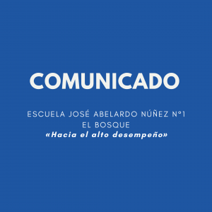 Comunicado N°13